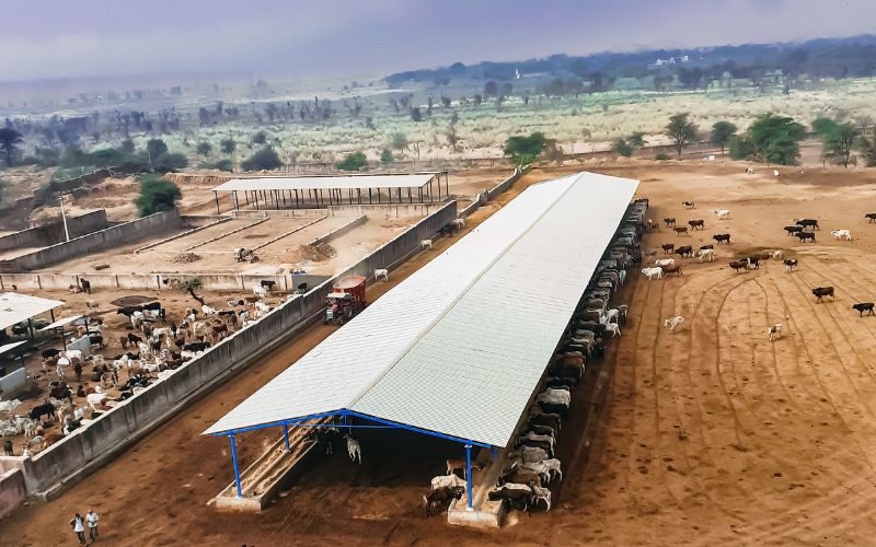 Global Alpha Tech Security